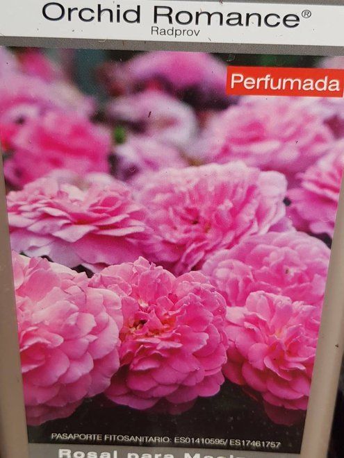 prod 565283
