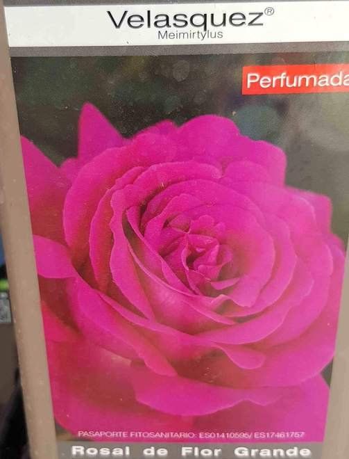 prod 565271