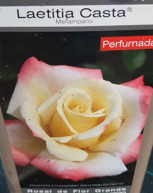 prod 565346