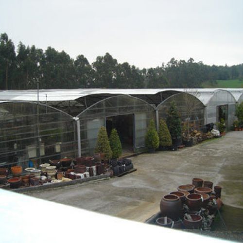 Vistas Vivero10
