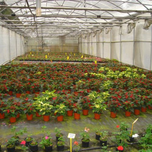 Vistas Vivero7