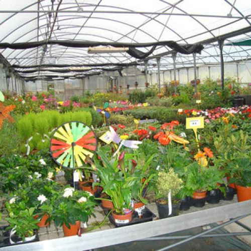 Vistas Vivero4
