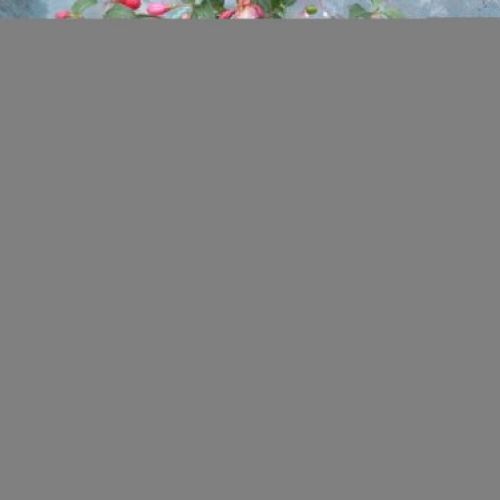 prod 172081
