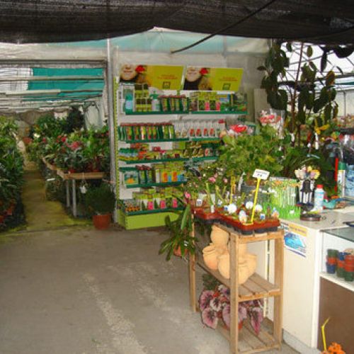 Vistas Vivero9