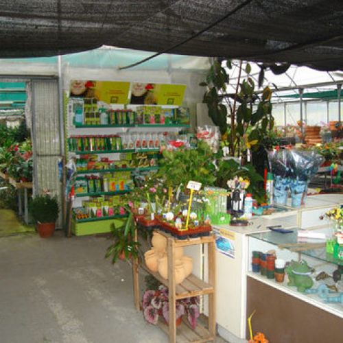 Vistas Vivero5